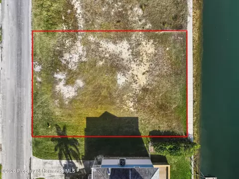 4104 Camelia Dr, Hernando Beach, FL 34607 photo 2