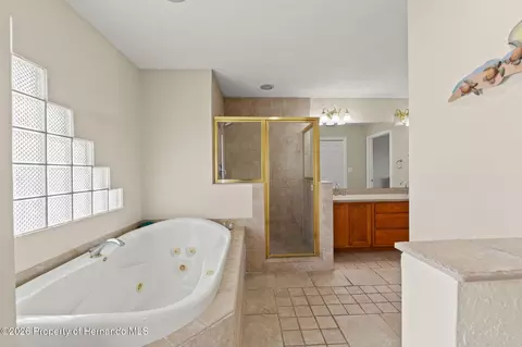 Bath - 3223 Hibiscus Dr, Hernando Beach, FL 34607 photo 10 of 11