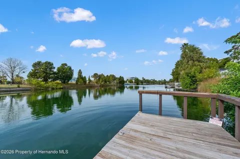 View/Area - 3223 Hibiscus Dr, Hernando Beach, FL 34607 photo 9 of 10
