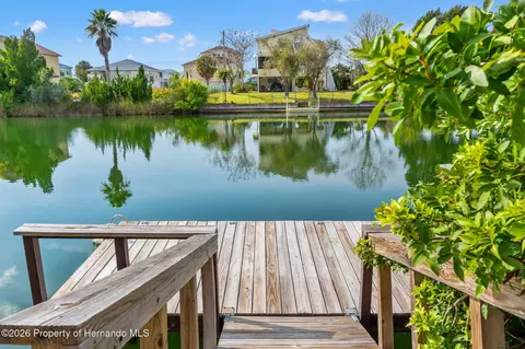 View/Area - 3223 Hibiscus Dr, Hernando Beach, FL 34607 photo 7 of 10