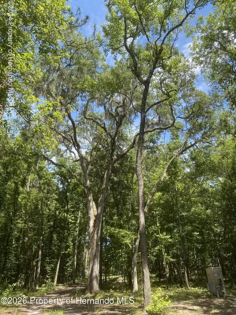 0 Snow Memorial Hwy, Brooksville, FL 34601