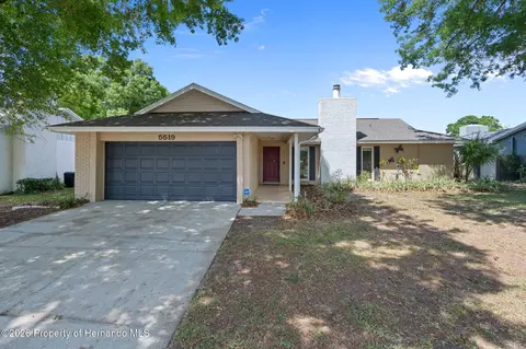 5519 Fulmar Dr, Tampa, FL 33625