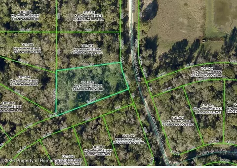 lot12 Carolina Dove Rd, Weeki Wachee, FL 34614