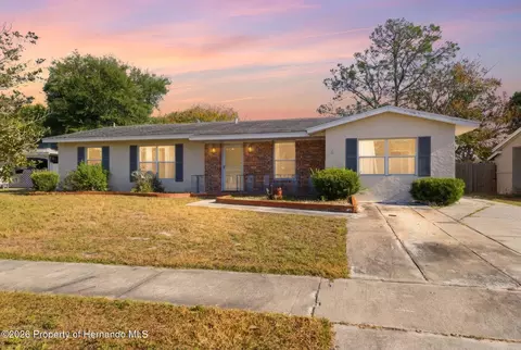6229 Dalton Street St, Spring Hill, FL 34606