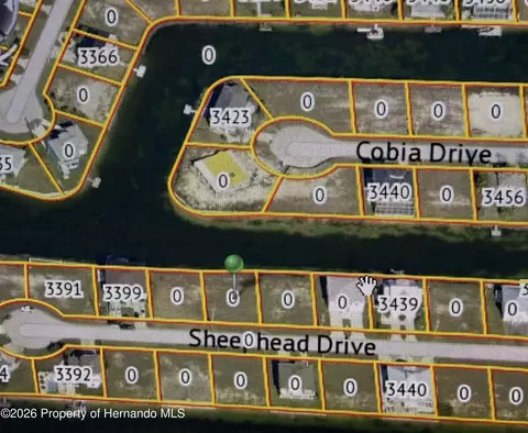 3415 Sheephead Dr, Hernando Beach, FL 34607 photo 2