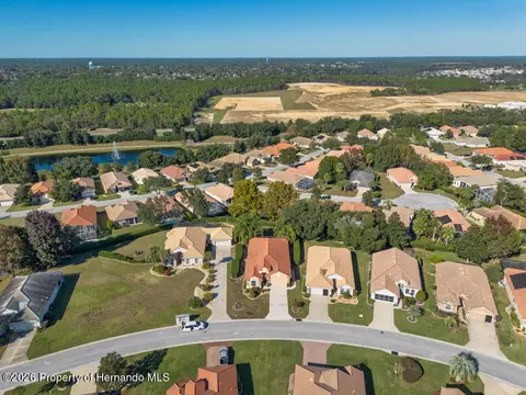 View/Area - 1134 W Diamond Shore Loop, Hernando, FL 34442 photo 2 of 8
