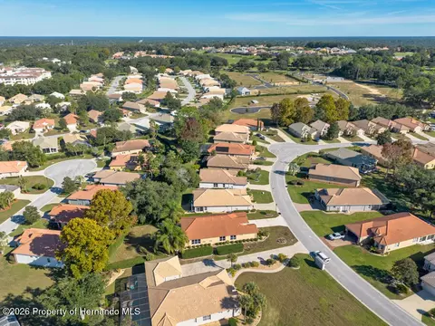 View/Area - 1134 W Diamond Shore Loop, Hernando, FL 34442 photo 5 of 8