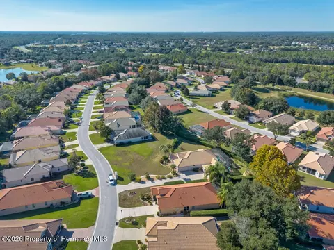 View/Area - 1134 W Diamond Shore Loop, Hernando, FL 34442 photo 3 of 8