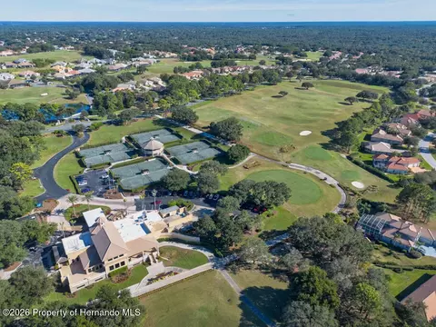 View/Area - 1134 W Diamond Shore Loop, Hernando, FL 34442 photo 7 of 8
