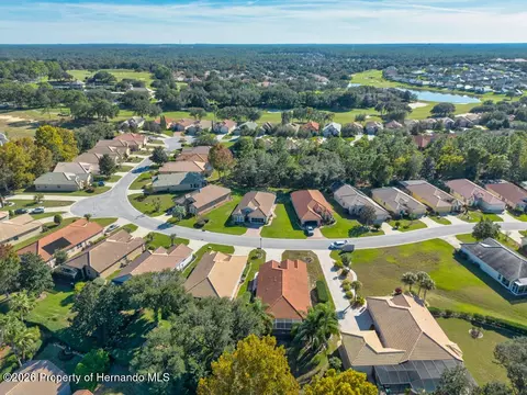 View/Area - 1134 W Diamond Shore Loop, Hernando, FL 34442 photo 4 of 8