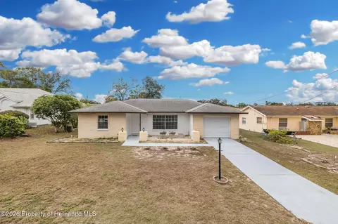 11196 Redgate St, Spring Hill, FL 34609