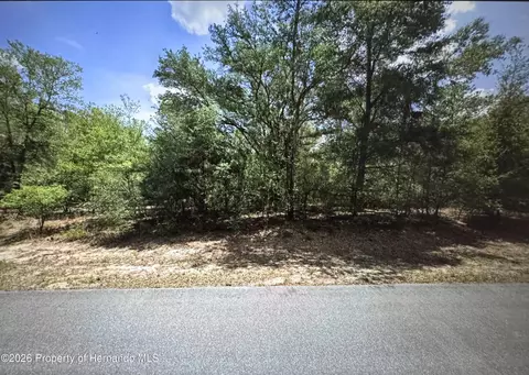 9807 N Pewter Ave, Citrus Springs, FL 34434