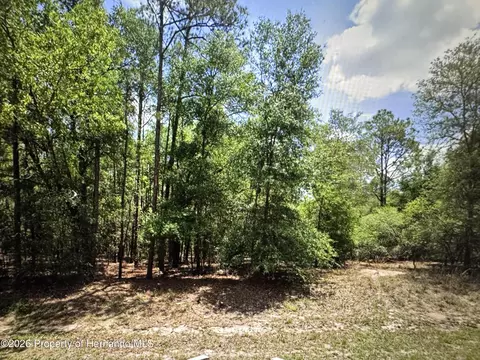 9819 N Pewter Ave, Citrus Springs, FL 34434
