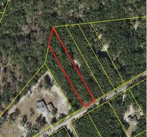 0 Rimrock St, Webster, FL 33597 photo 3