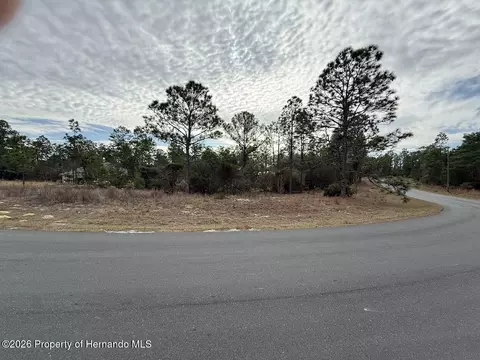 4143 W Dorchester Cir, Dunnellon, FL 34433