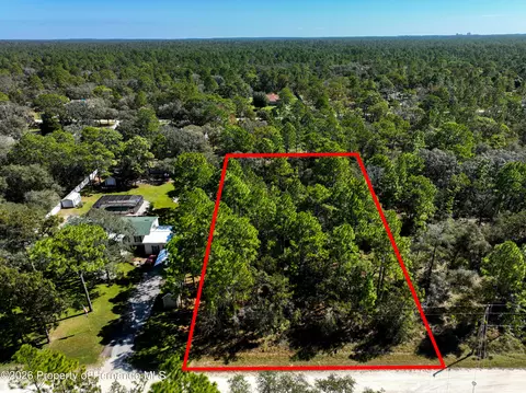 lot7 Nuthatch Rd, Weeki Wachee, FL 34614