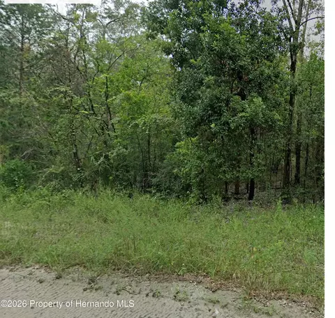 0 NE 160th Ave, Williston, FL 32696