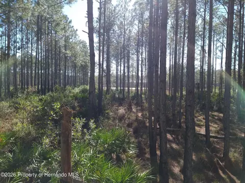 0 Clyatt Rd, Chiefland, FL 32626