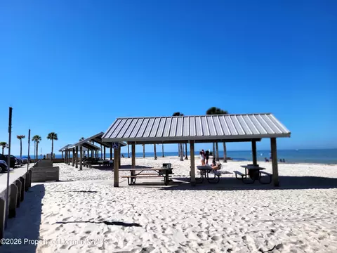 3461 Pandora Dr, Weeki Wachee, FL 34607 photo 56