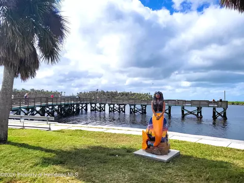 3461 Pandora Dr, Weeki Wachee, FL 34607 photo 58