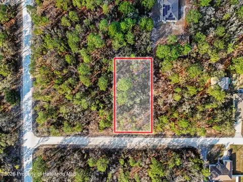 11203 Shivering Owl Ave, Weeki Wachee, FL 34614