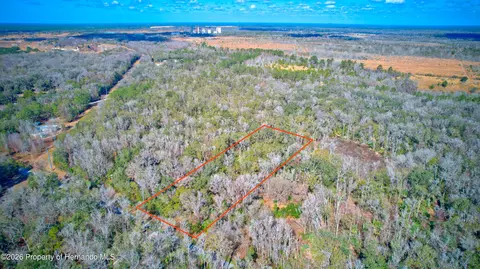 16345 Budowski Rd, Brooksville, FL 34614
