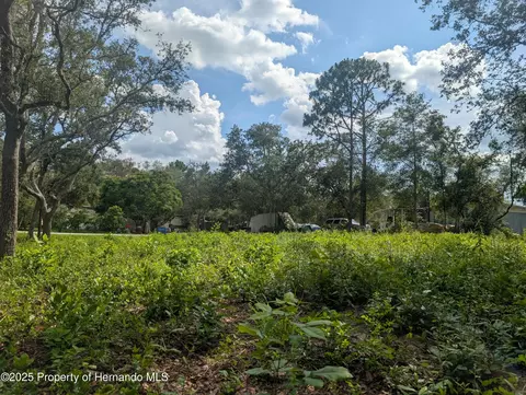0 Merlin Cir, Ridge Manor, FL 33523
