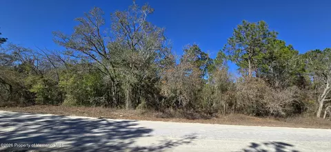 13231 Road Runner Ave, Brooksville, FL 34614