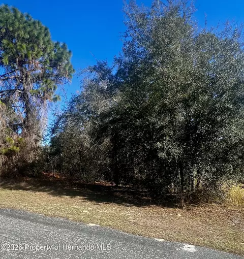 8039 N Creek Way, Citrus Springs, FL 34434