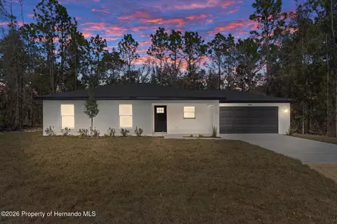 14197 Red Marlin Ave, Brooksville, FL 34614