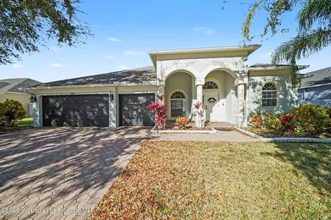 4809 Walnut Ridge Rd, Land O'lakes, FL 34638