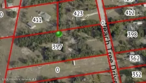 397 Peach Tree Dr, Spring Hill, FL 34609 photo 2