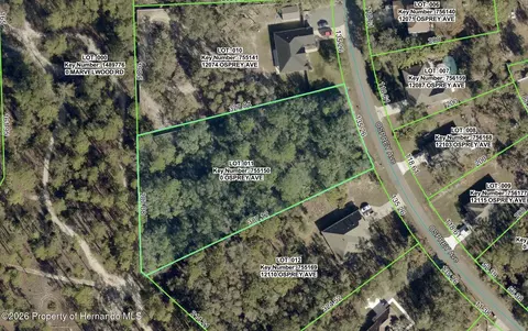 12090 Osprey Ave, Weeki Wachee, FL 34614