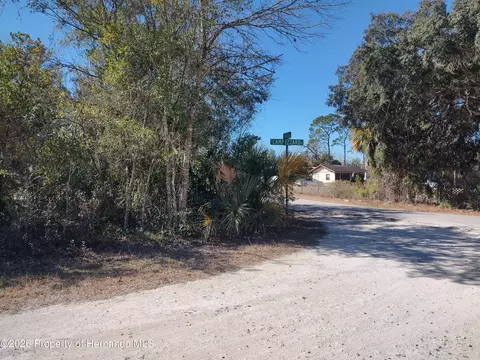Other - 3940 E Camp Izzard Pl, Dunnellon, FL 34434 photo 5 of 9