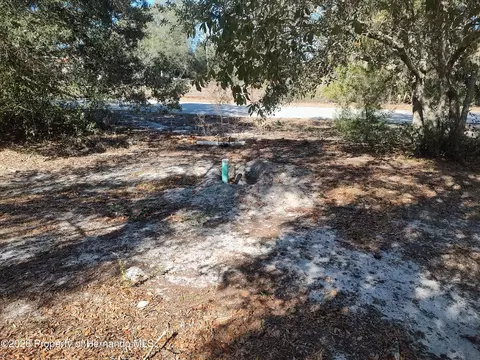Other - 3940 E Camp Izzard Pl, Dunnellon, FL 34434 photo 6 of 9