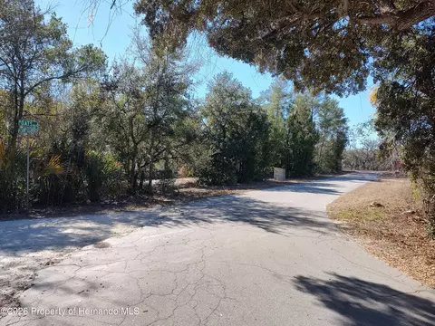 Other - 3940 E Camp Izzard Pl, Dunnellon, FL 34434 photo 4 of 9
