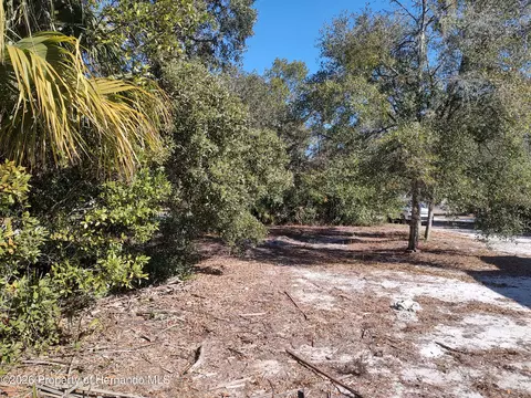 Exterior - 3940 E Camp Izzard Pl, Dunnellon, FL 34434 photo 2 of 2