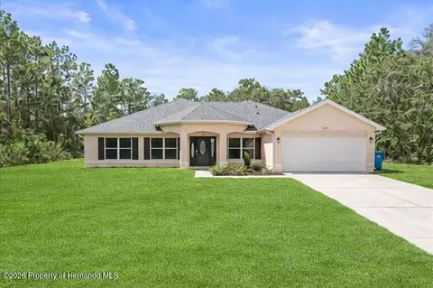 15491 Scaup Duck Ave, Weeki Wachee, FL 34614