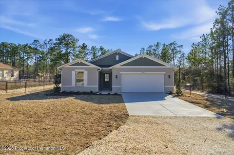 12196 Snow Goose Ave, Brooksville, FL 34614