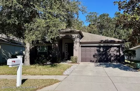1248 Hill Flower Dr, Brooksville, FL 34604