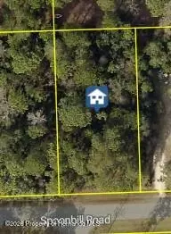 11051 Spoonbill Rd, Spring Hill, FL 34613