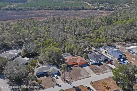 7256 Mcginnes Ct, Weeki Wachee, FL 34613