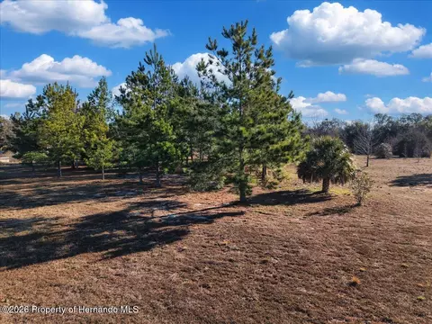0 NW 76th Ave, Chiefland, FL 32626