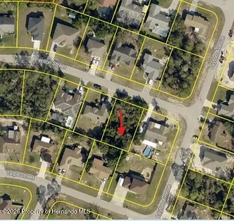 12432 Penton St, Spring Hill, FL 34608 photo 5