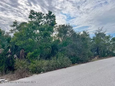 12432 Penton St, Spring Hill, FL 34608