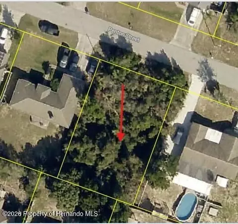 12432 Penton St, Spring Hill, FL 34608 photo 2