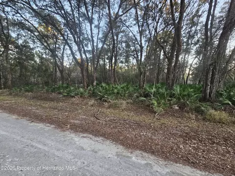 0 Rosehill Dr, Webster, FL 33597
