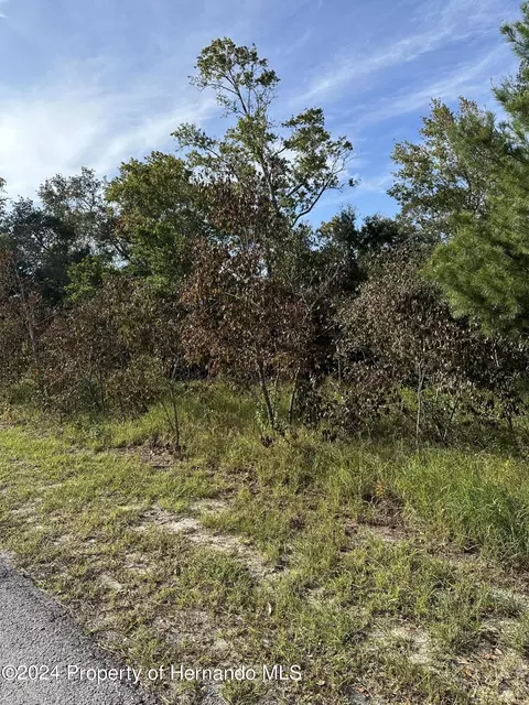 000 Sylvia Ave, Spring Hill, FL 34606