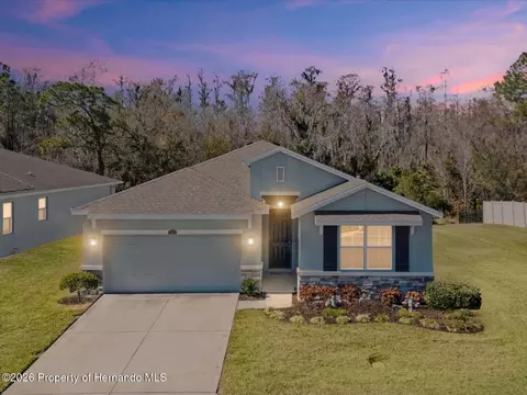 2873 Storybrook Preserve Dr, Odessa, FL 33556