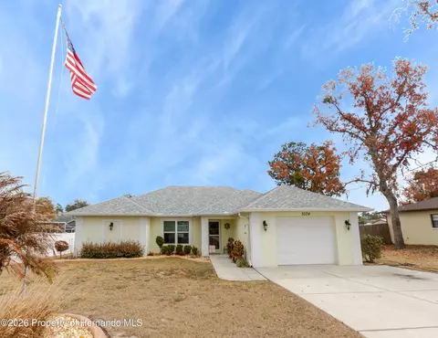 3034 Aldoro Ave, Spring Hill, FL 34609
